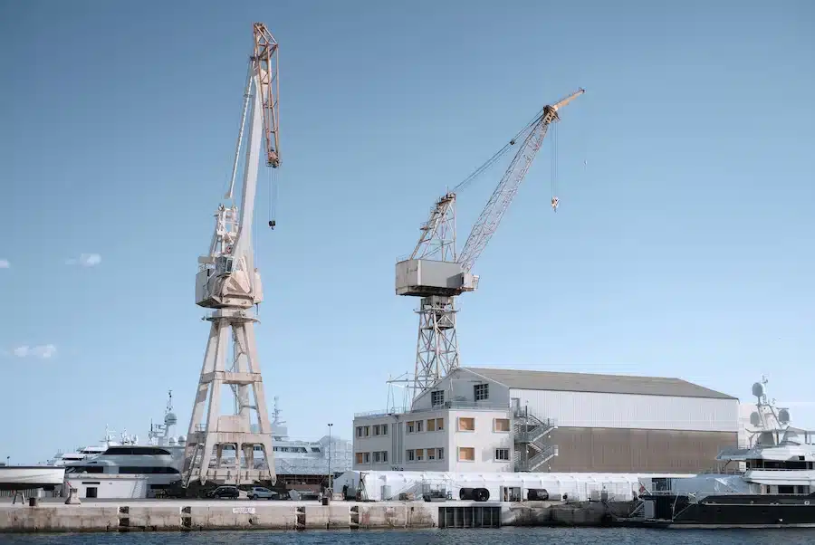 Deux grues blanches